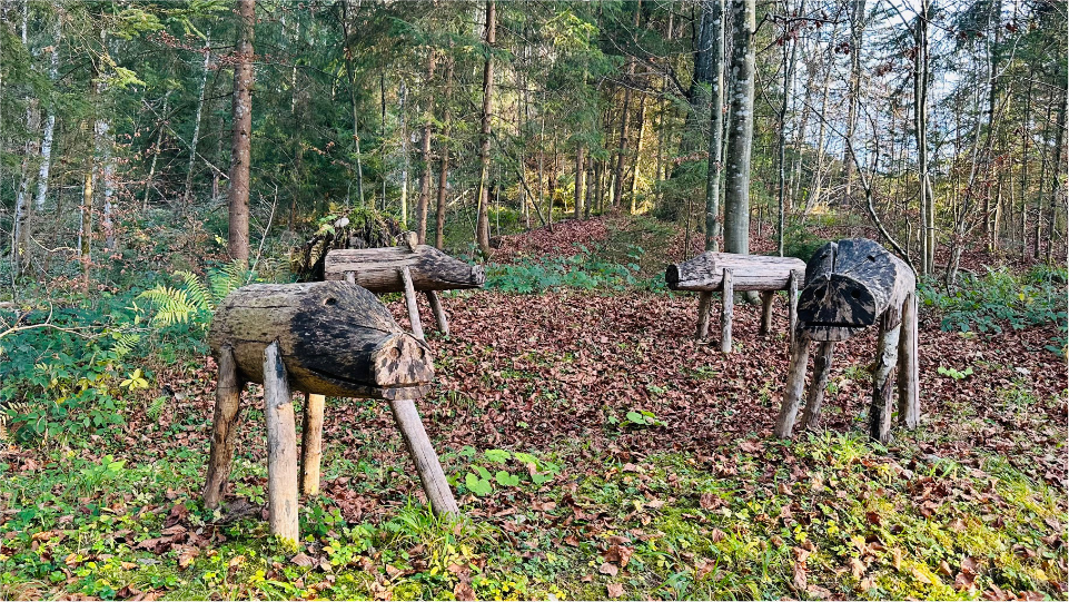 „Wildsau Rosi und ihre Freunde – eine Expedition ins heimische Tierreich“