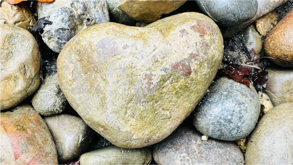 &nbsp;Naturpädagogik&nbsp;